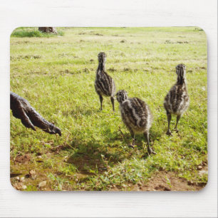 Baby Emu Chicks und Big Foot, Mousepad