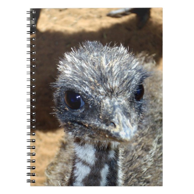 Baby Emu Face, Notizblock (Vorderseite)