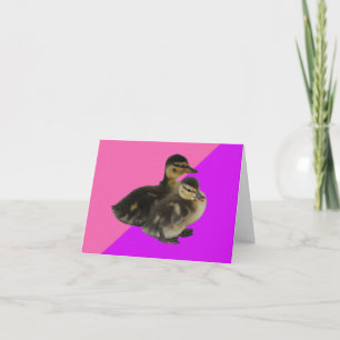 Baby-Enten auf rosa Himbeere und violetter Sorbet Dankeskarte