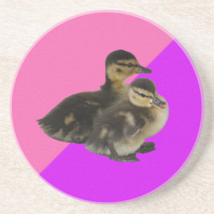Baby-Enten auf rosa Himbeere und violetter Sorbet Getränkeuntersetzer