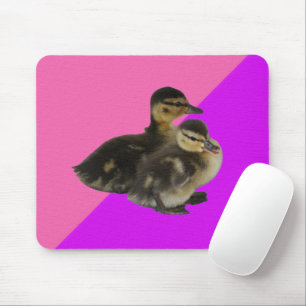 Baby-Enten auf rosa Himbeere und violetter Sorbet Mousepad