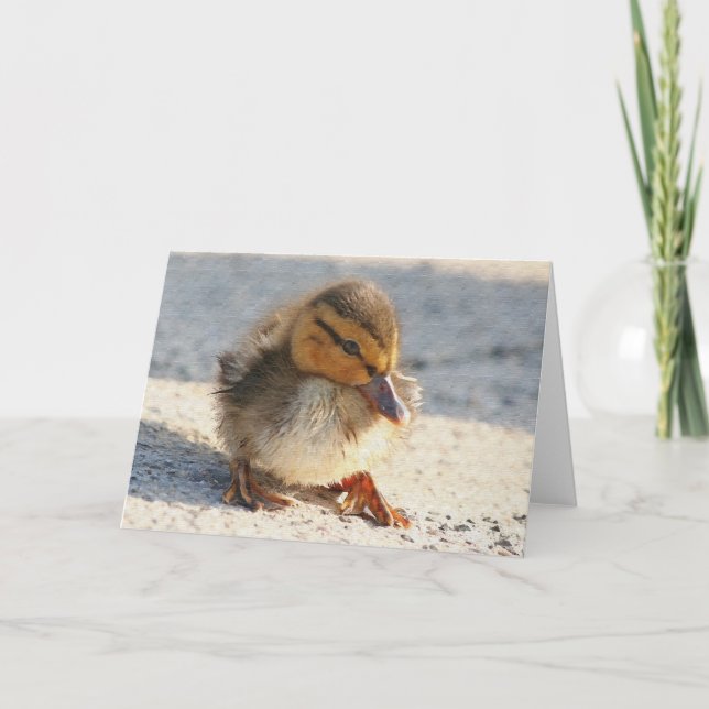 Baby-Enten-Entlein-Karte Karte (Vorderseite)
