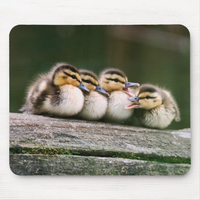 Baby-Enten Mousepad (Vorne)