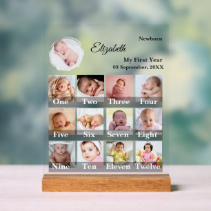 Baby-Erstes-Jahr-12-Monate-Foto-Collage Meilenstei Acrylschild