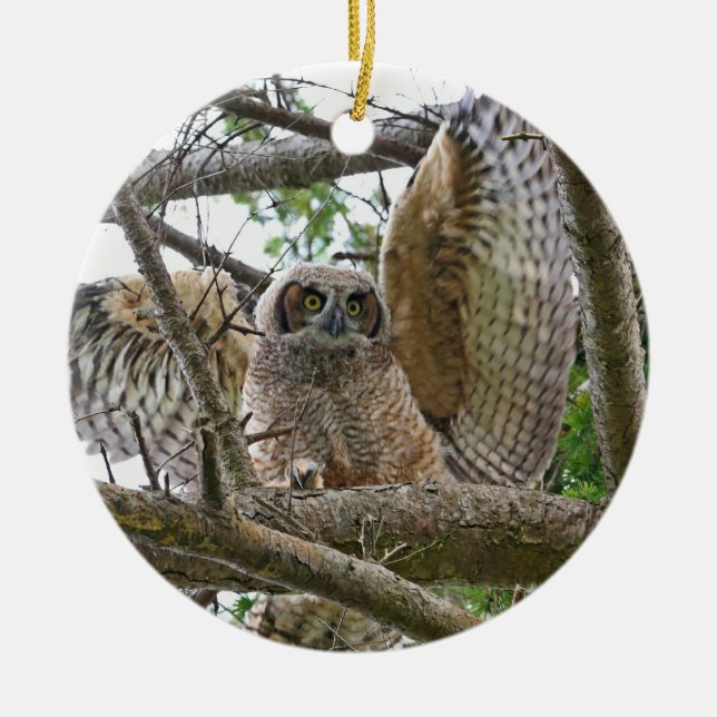 Baby-Eulen-Bild Keramik Ornament (Vorne)