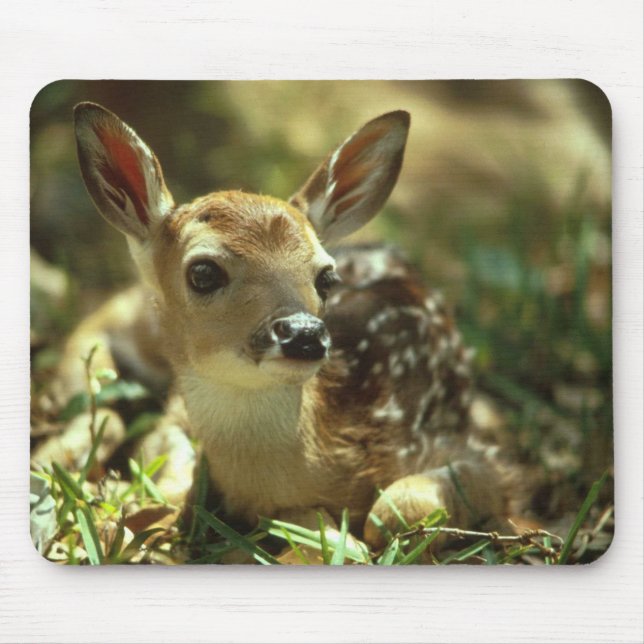 Baby Fawn Mousepad (Vorne)