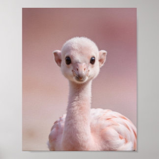 Baby-Flamingo-Porträt – Süße Kinderzimmer-Tier-Wan Poster