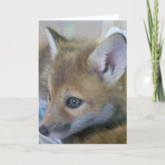 Baby Fox Grußkarte Karte