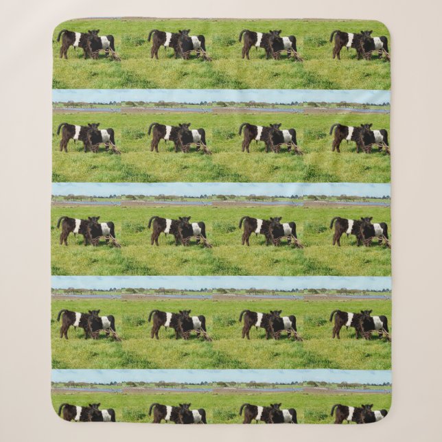 Baby Galloway Calves, Med Sherpa Blanket Sherpadecke (Vorderseite)