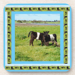 Baby Galloway Cows, Getränkeuntersetzer