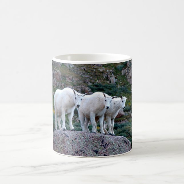 Baby-Gebirgsziegen-Tasse Kaffeetasse (Mittel)