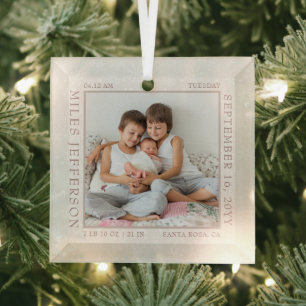 Baby-Geburtsstatistik Weißer Schneeflocken-Bilderr Ornament Aus Glas