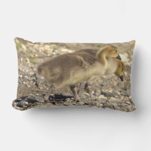 Baby Geese Foto Kissen