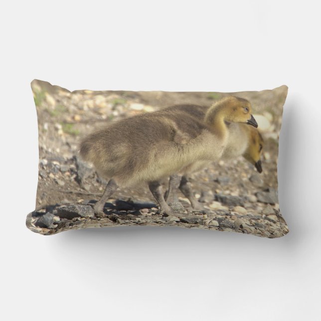 Baby Geese Foto Kissen (Vorderseite)