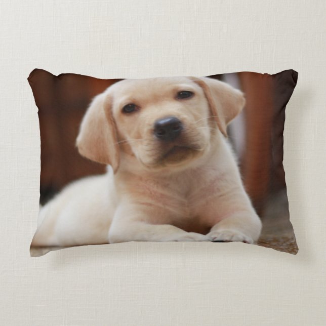 Baby-gelbes Labrador-Hündchen, das auf Bauch legt Dekokissen (Vorderseite)