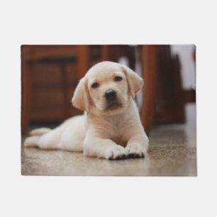 Baby-gelbes Labrador-Hündchen, das auf Bauch legt Fußmatte
