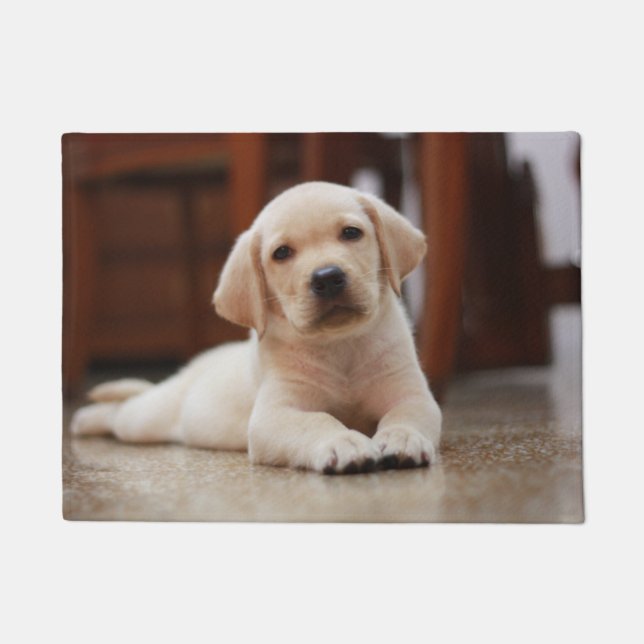 Baby-gelbes Labrador-Hündchen, das auf Bauch legt Fußmatte (Vorderseite)