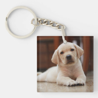 Baby-gelbes Labrador-Hündchen, das auf Bauch legt Schlüsselanhänger