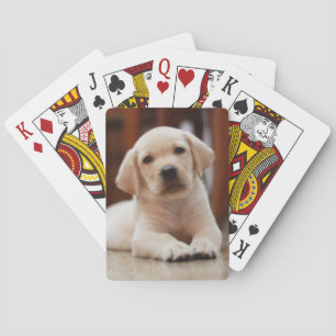 Baby-gelbes Labrador-Hündchen, das auf Bauch legt Spielkarten