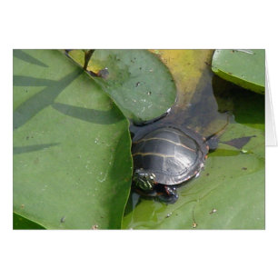 Baby gemalte Schildkröte auf Lilypad Einzelteilen