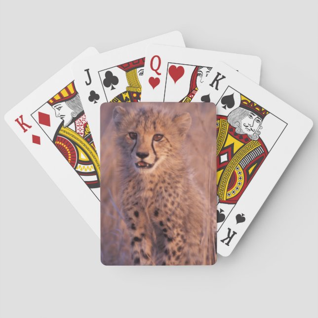 Baby-Gepard-Spielkarten Spielkarten (Rückseite)
