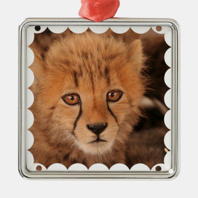 Baby-Gepard-Verzierung Ornament Aus Metall (Vorne)