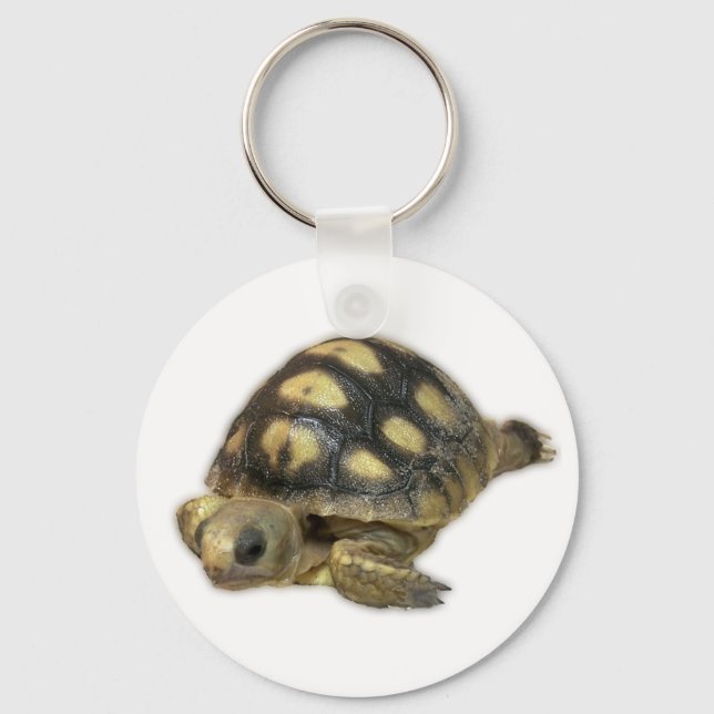 Baby Ghopher Tortoise Schlüsselanhänger (Vorderseite)