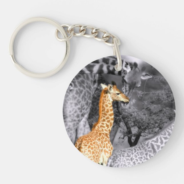 Baby Giraffe (Devant)