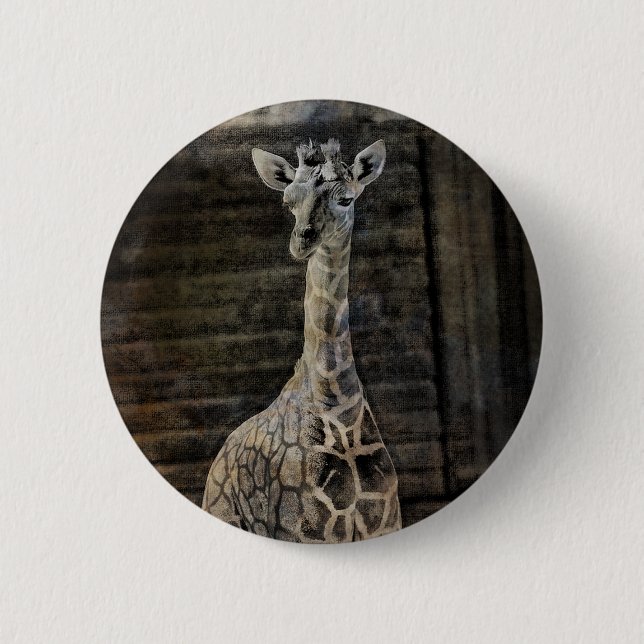 Baby Giraffe Button (Vorderseite)