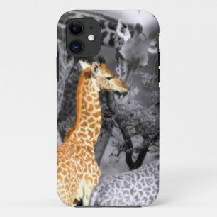 Baby-Giraffe title_seo2