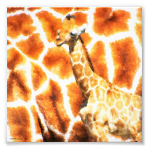 Baby Giraffe Fotodruck