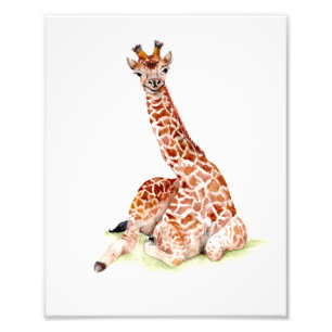 Baby Giraffe Fotodruck