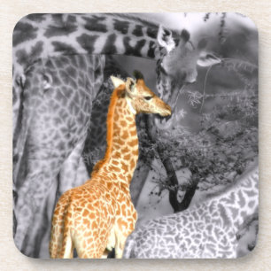 Baby-Giraffe Getränkeuntersetzer