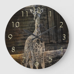 Baby-Giraffe Große Wanduhr