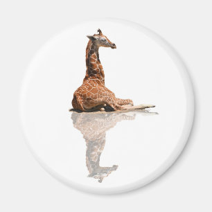 BABY-GIRAFFE MAGNET