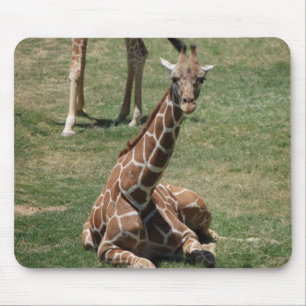 Baby-Giraffe Mousepad