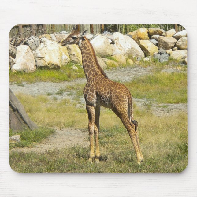 Baby Giraffe Mousepad (Vorne)