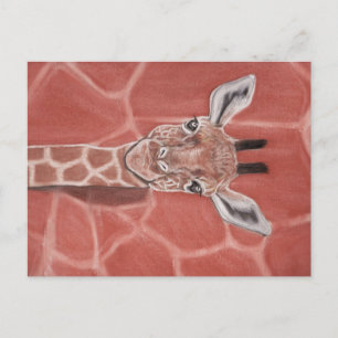 Baby Giraffe Postkarte