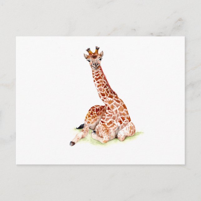 Baby Giraffe Postkarte (Vorderseite)
