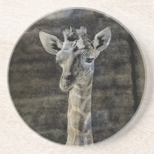 Baby Giraffe Sandstein Untersetzer