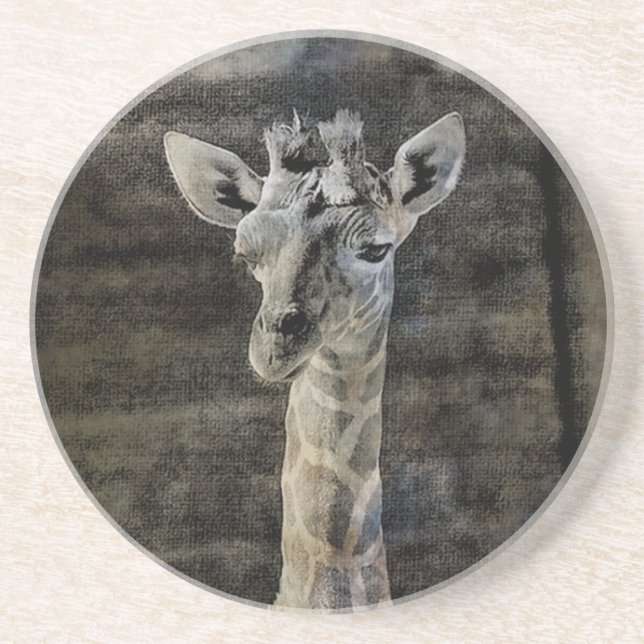 Baby Giraffe Sandstein Untersetzer (Vorne)