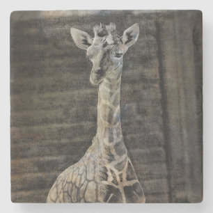 Baby Giraffe Steinuntersetzer