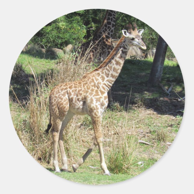 Baby Giraffe Stickers (Vorderseite)