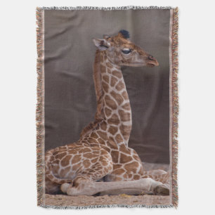 Baby Giraffe Throw Blanket Decke
