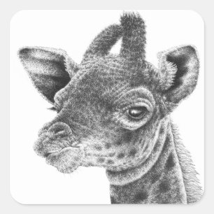 Baby-Giraffen-Aufkleber Quadratischer Aufkleber