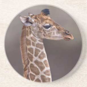 Baby-Giraffen-Untersetzer Getränkeuntersetzer
