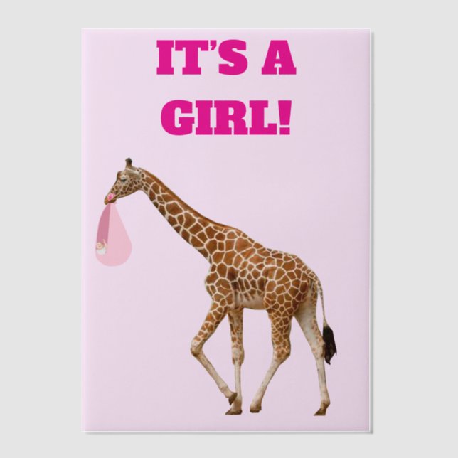 Baby Girl Birth Announcement Vellum Overlay (Vorderseite)