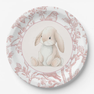 Baby Girl First Birthday Party Paper Plates Pappteller