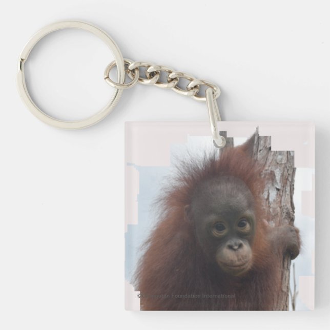 Baby Girl Orangutan (Devant)