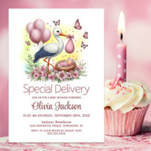 Baby Girl Special Delivery Stork Baby Dusche